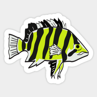 FISH TIGER DATNOID Sticker